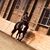 Kadi Lee Ferrell's profile image