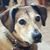 Angie Cunningham Winkowski's profile image