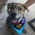 Saundra Tennant's profile image