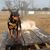 Dogpark S.'s profile image