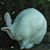 Karol Cubin's profile image