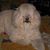 Glenna Hendricks's profile image