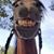 Erin Harris's profile image