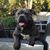 Mandy Hintz's profile image
