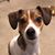 Johnathan Breedlove's profile image