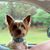 Nikki Bearden's profile image