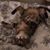 Joe Martinec's profile image