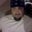 Jay Cansler's profile image
