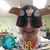 Michelle Schiavo's profile image