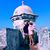 Ratla F. Laila's profile image