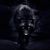Eddie Torres's profile image
