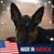 Lisa Schardijn's profile image