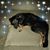 Barbara Messer's profile image
