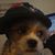 Bobby Dyl's profile image
