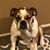 Shannon Wright Collins's profile image