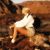 Sandra Gramlodhy's profile image