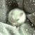 Dawn Yoder Secoy's profile image