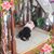 Marilyn Moyer's profile image