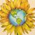 Sara Jane Brackenbury's profile image