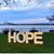 Alyson Novick's profile image
