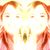 Brandy Wheeler's profile image