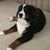 Linda Sprague's profile image