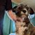 Lori Osgood's profile image