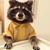 Daniel Capici's profile image