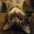 Julie Muir's profile image