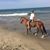 David R. Olan's profile image