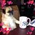 Neal Dawne Marie Livingston's profile image