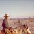 Marshall Newcomb's profile image