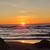 Sandi Dingman's profile image