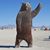 Philip Steffen's profile image