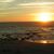 Judy Dinnell's profile image