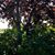 Janean Colburn's profile image