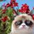 Christopher Eggert's profile image