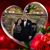Debbie Thomson's profile image