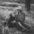 Stetson B Ward's profile image