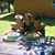 Nicole Knable's profile image