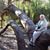 Joella Onstad's profile image