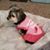 Judy Haselhorst's profile image