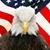Shawn Massie's profile image