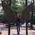 Beatriz Gudino-Cuahonte's profile image