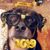 Mary Oblisk's profile image