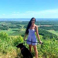 Lauren Elizabeth's profile image