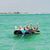Kathy Harrington Knopp's profile image