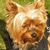 Abby Smith's profile image