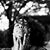 LaToya Charise's profile image