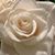 Christine Godwin's profile image
